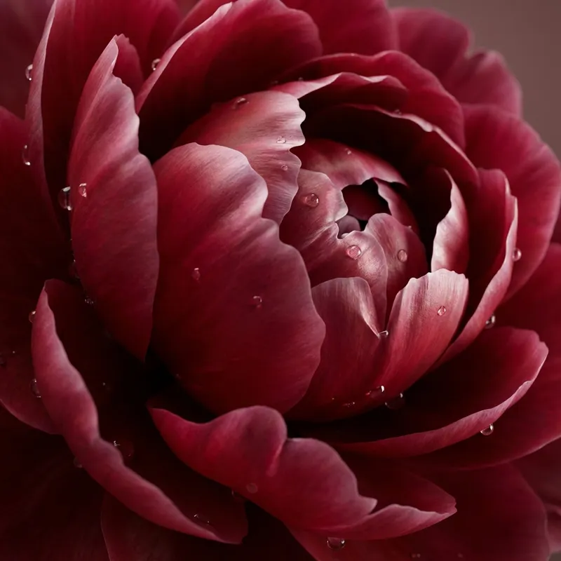 Generators category icon